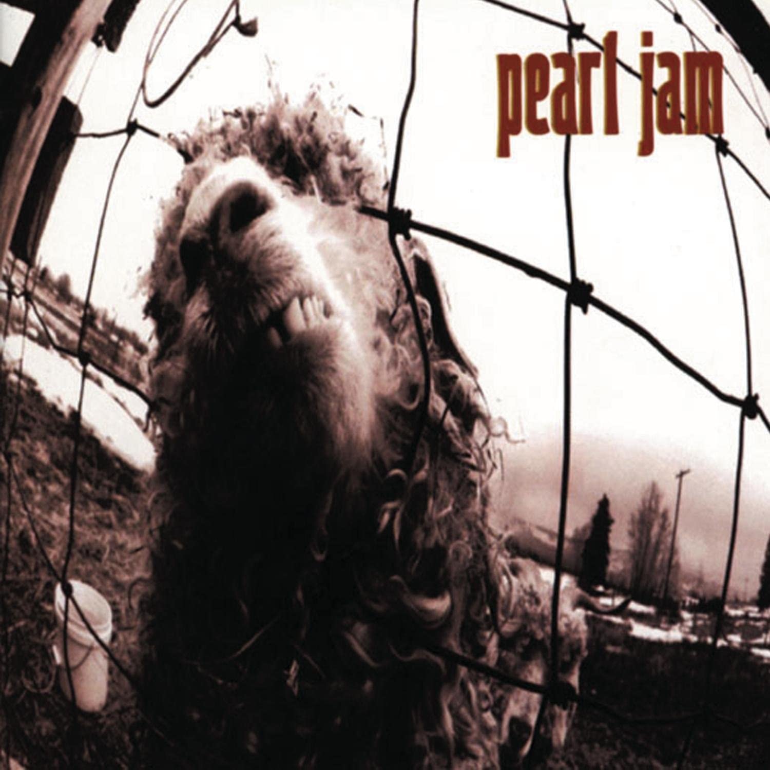 パールジャム　Pearl Jam レア盤